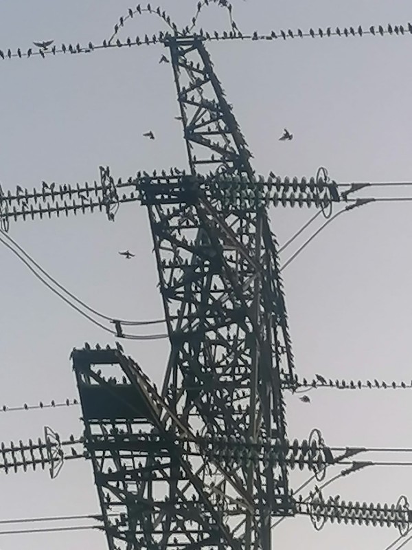 O’ wat ben je mooi