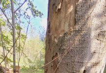 O’ wat ben je mooi