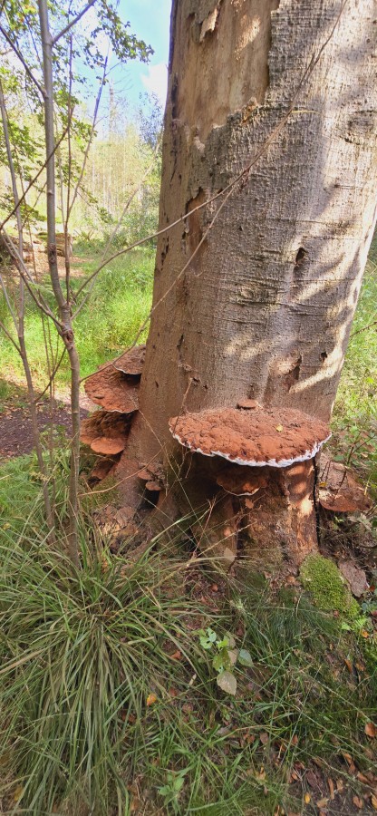 O’ wat ben je mooi