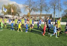 Nemelaer Haaren uit de beker