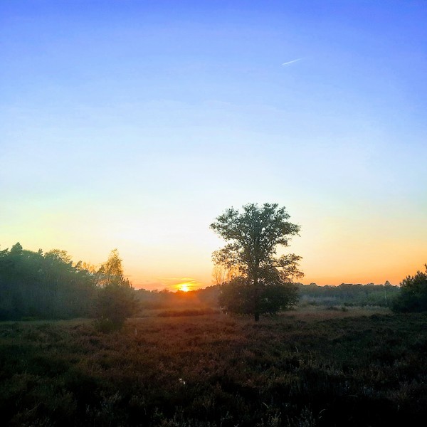 O’ wat ben je mooi