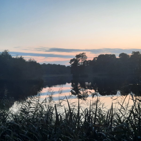 O’ wat ben je mooi