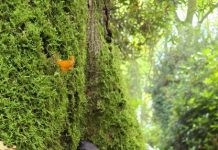 O’ wat ben je mooi