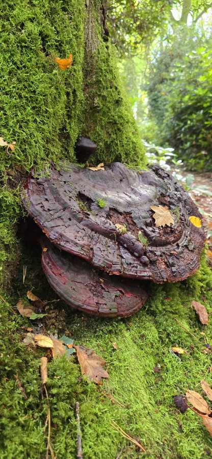 O’ wat ben je mooi