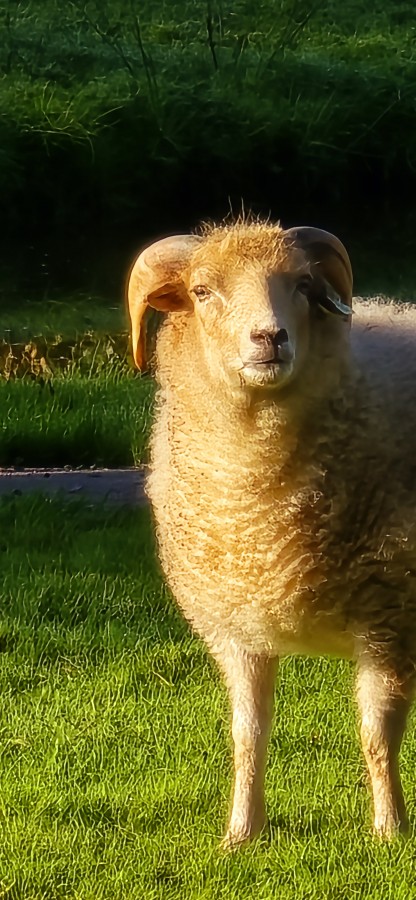 O’ wat ben je mooi