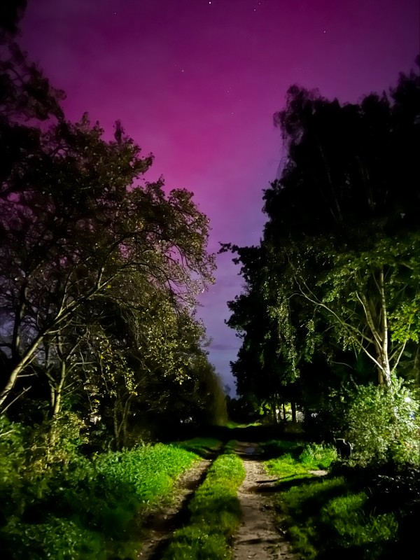 Noorderlicht te zien in Oisterwijk