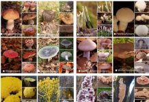 Ontdek een verborgen wereld!