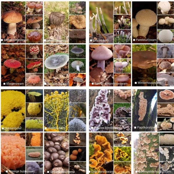 Ontdek een verborgen wereld!