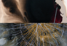 Meander in De Verdieping Moergestel