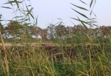 O’ wat ben je mooi