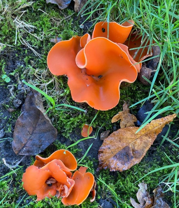 O’ wat ben je mooi