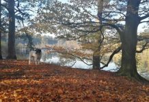 O’ wat ben je mooi