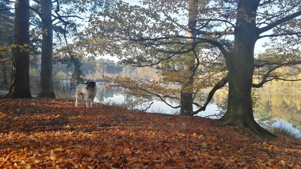 O’ wat ben je mooi