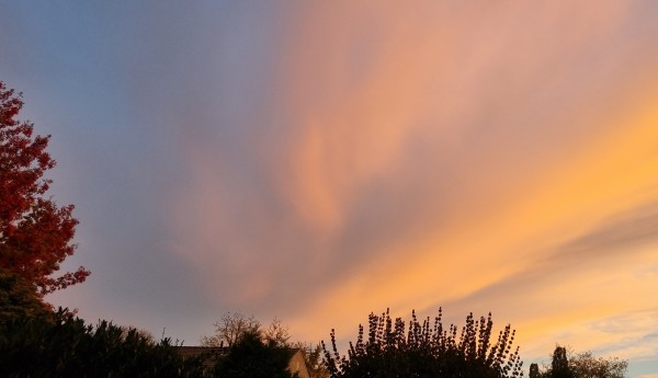 O’ wat ben je mooi