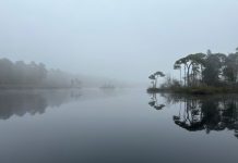 O’ wat ben je mooi