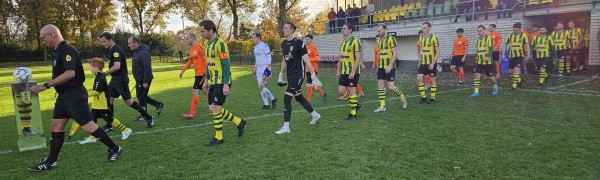 Nemelaer Haaren pakt winst op De Bataven