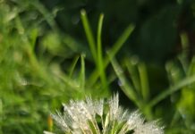 O’ wat ben je mooi