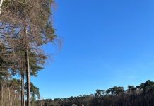 Wandel mee voor stichting Jarige Job