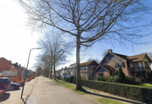 VVD raadslid vraagt B-team om groene hulp