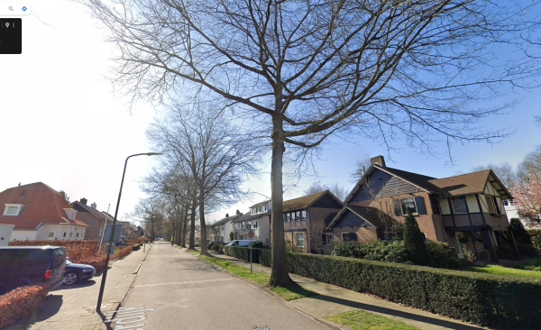 VVD raadslid vraagt B-team om groene hulp