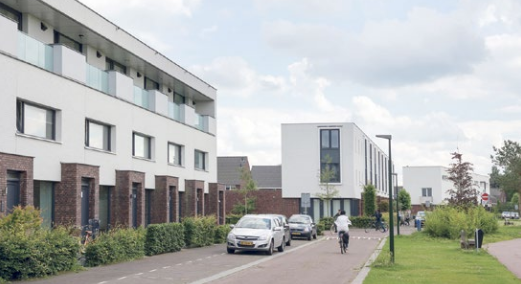 Gemeente Oisterwijk doet onderzoek naar beschermde diersoorten