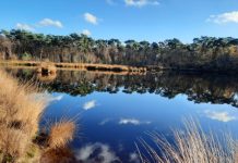 O’ wat ben je mooi