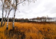 O’ wat ben je mooi