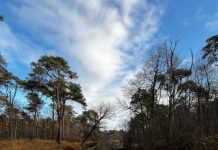 O’ wat ben je mooi