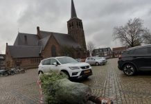 Gevonden: Een kerstboom