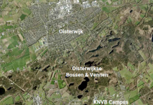 KNVB kiest niet voor Oisterwijk