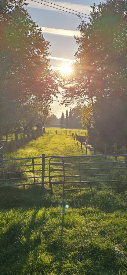 O’ wat ben je mooi