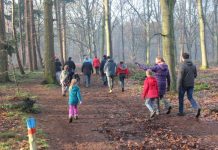 Wandeling Scouting Oisterwijk met Kerst