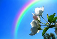 Lotgenotenbijeenkomst voor ouders van een overleden kind