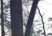 O’ wat ben je mooi