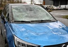 Boom op auto tijdens storm in Moergestel