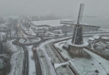 Snoeidemonstratie bij de Oisterwijkse molen