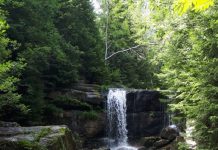 Lees ook op vakantie dagelijks Oisterwijks nieuws