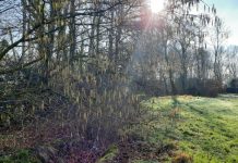 O’ wat ben je mooi