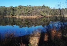 O’ wat ben je mooi