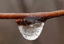 O’ wat ben je mooi