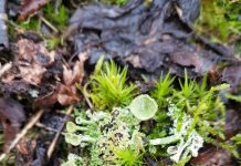 O’ wat ben je mooi