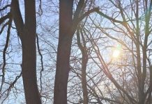 O’ wat ben je mooi