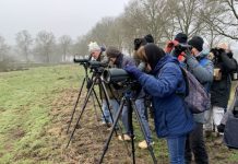 IVN Oisterwijk start cursus natuur