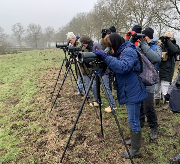 IVN Oisterwijk start cursus natuur