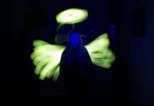 Scouting Cheeta’s maken lichtkunst