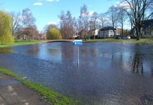 Vistrap in Oisterwijkse Stroom is te hoog en houdt grondwater vast
