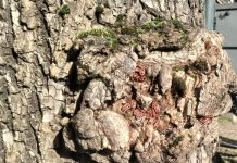 O’ wat ben je mooi