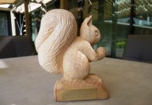 Zwerf Afval Pakkers Oisterwijk ontvangen de Groene Eekhoorn