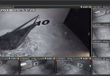 Dieptepunt in broedseizoen gierzwaluw Oisterwijkse Joanneskerk