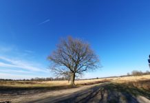 O’ wat ben je mooi